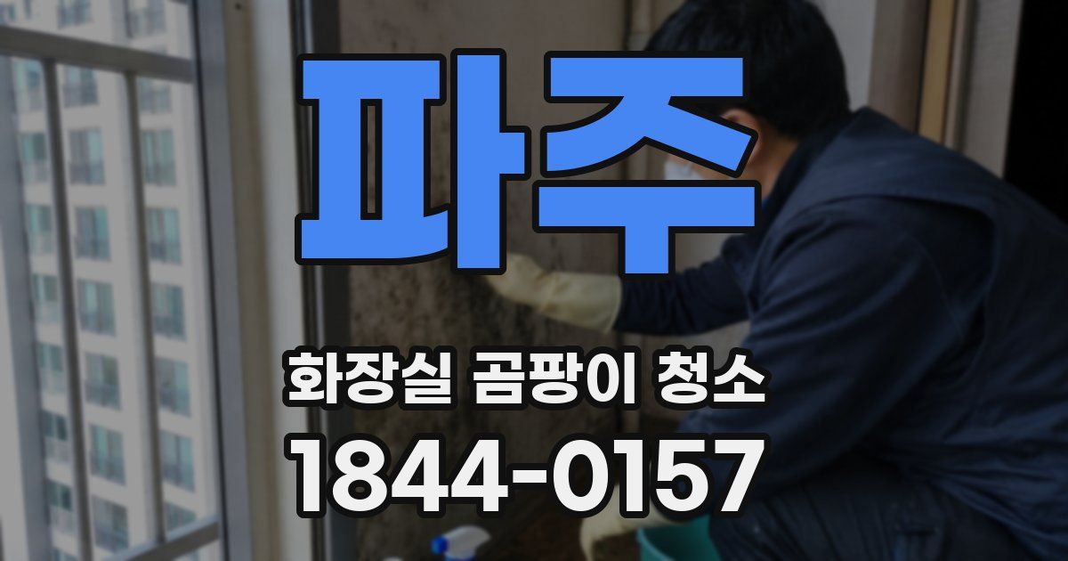 파주 화장실 곰팡이 청소