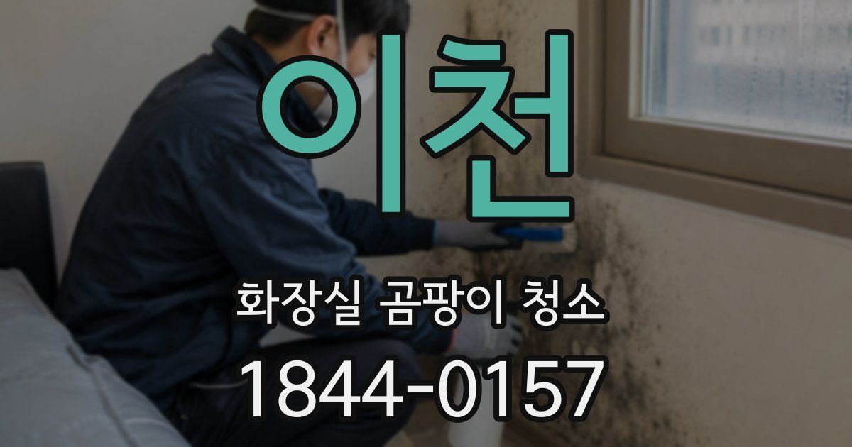 이천 화장실 곰팡이 청소