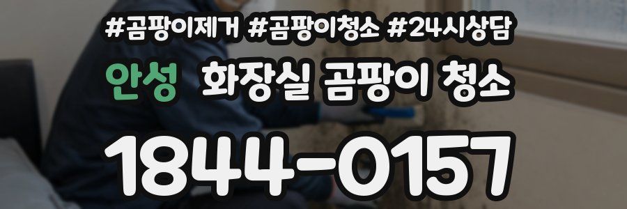 안성 화장실 곰팡이 청소