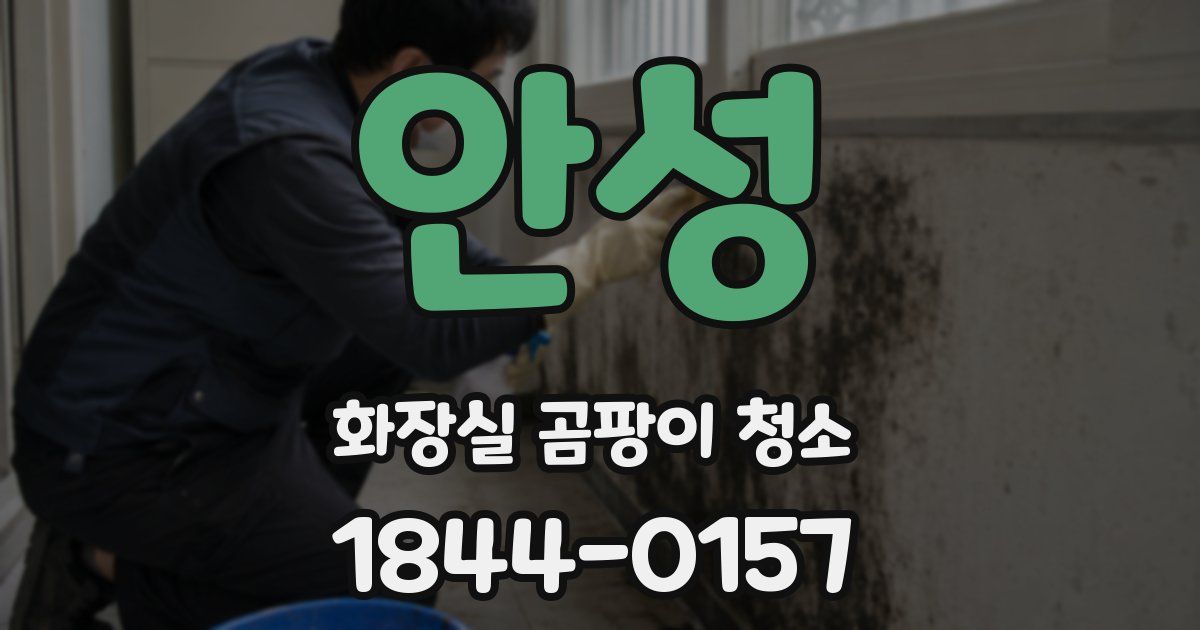 안성 화장실 곰팡이 청소