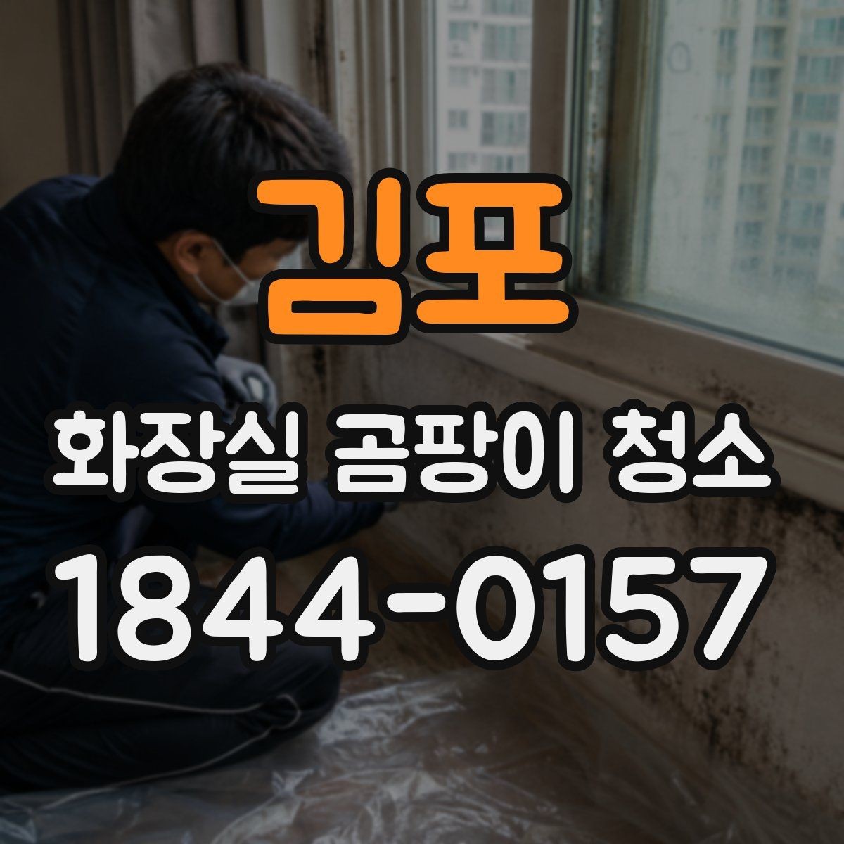 김포 화장실 곰팡이 청소 가정용 솔과 천만으로 되는 범위