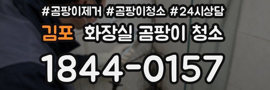 김포 화장실 곰팡이 청소