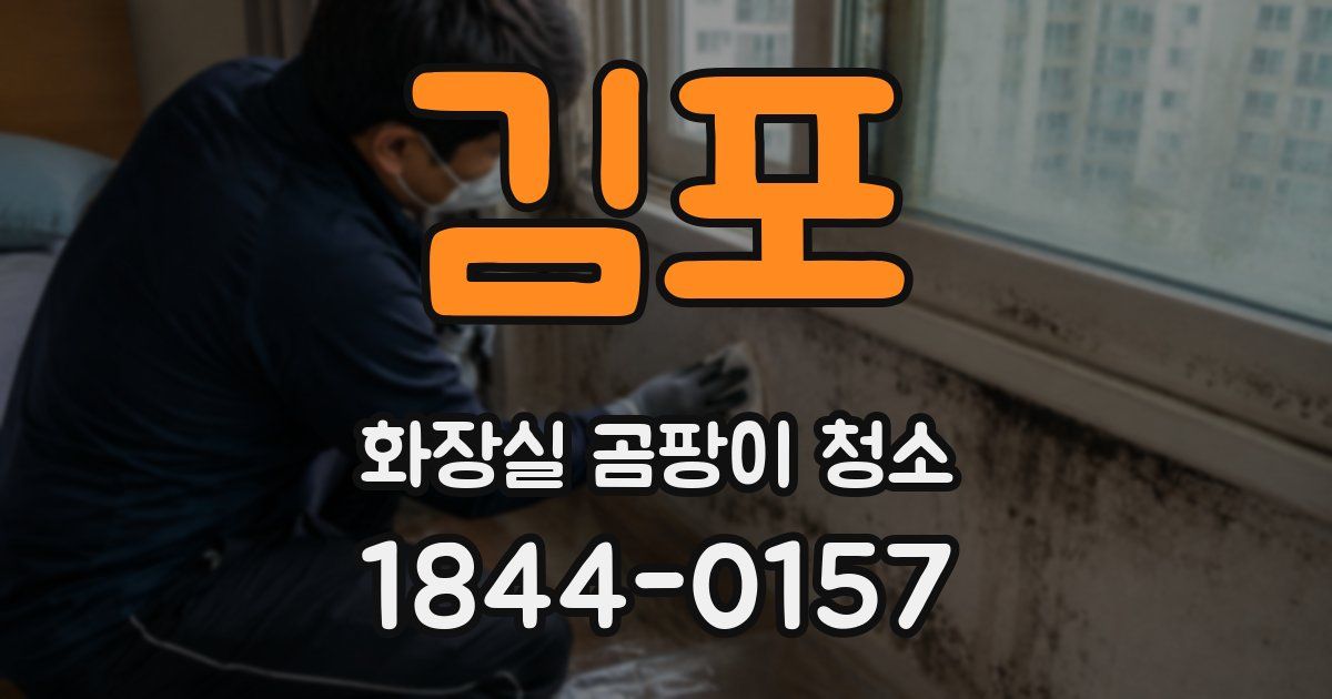 김포 화장실 곰팡이 청소