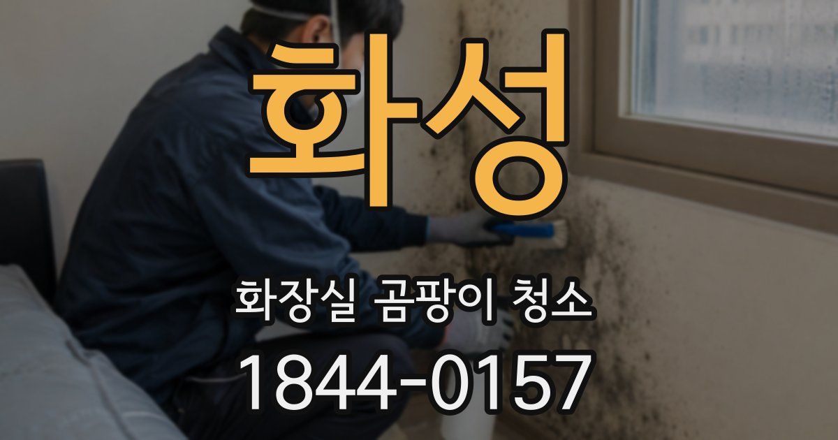 화성 화장실 곰팡이 청소