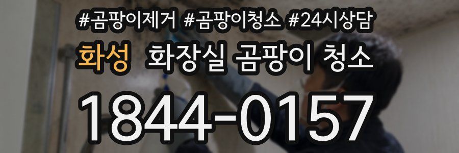화성 화장실 곰팡이 청소