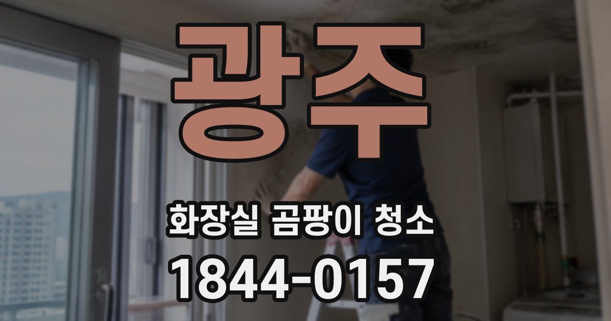 광주 화장실 곰팡이 청소
