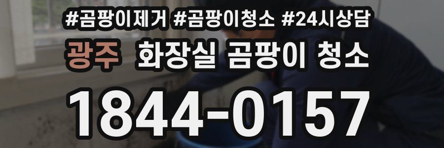 광주 화장실 곰팡이 청소