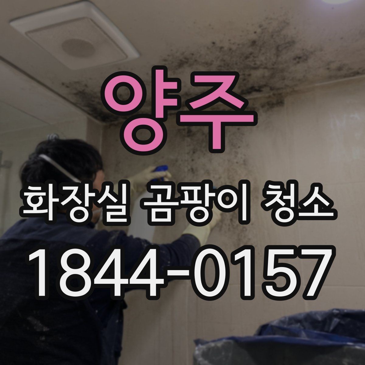 양주 화장실 곰팡이 청소 코너 틈새와 배수구 아래쪽 주변 정리 요령