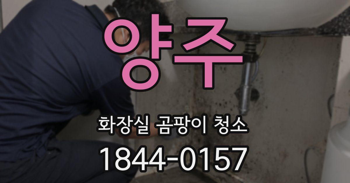 양주 화장실 곰팡이 청소