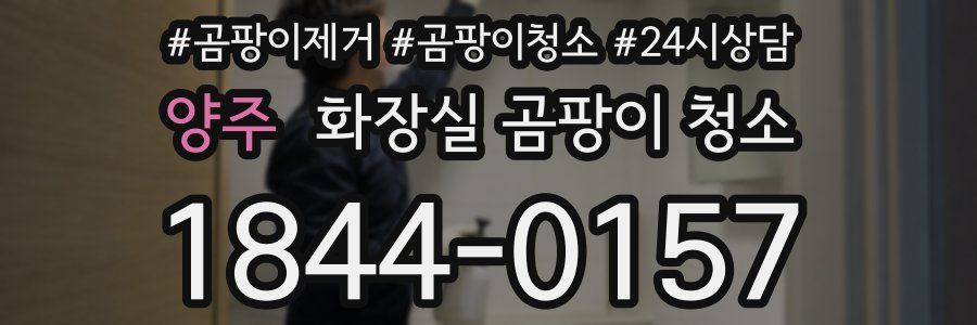 양주 화장실 곰팡이 청소