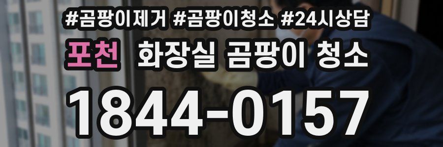 포천 화장실 곰팡이 청소