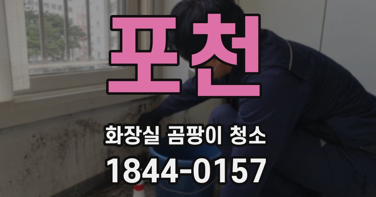 포천 화장실 곰팡이 청소