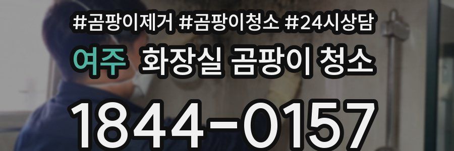 여주 화장실 곰팡이 청소