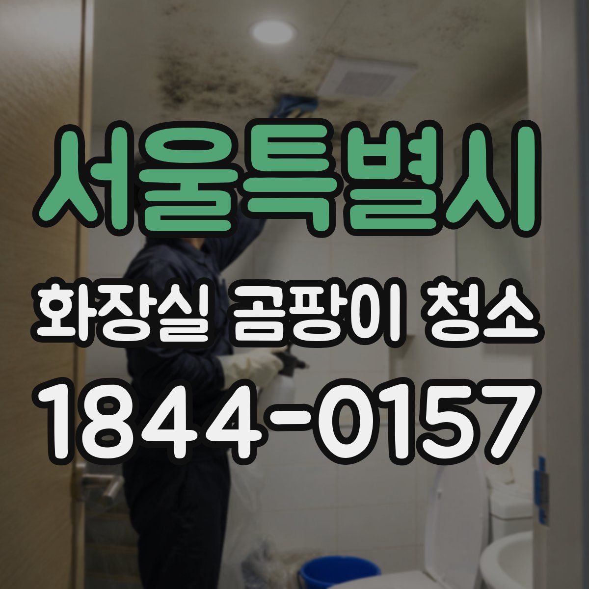 서울특별시 화장실 곰팡이 청소