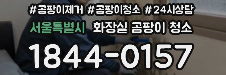 서울특별시 화장실 곰팡이 청소
