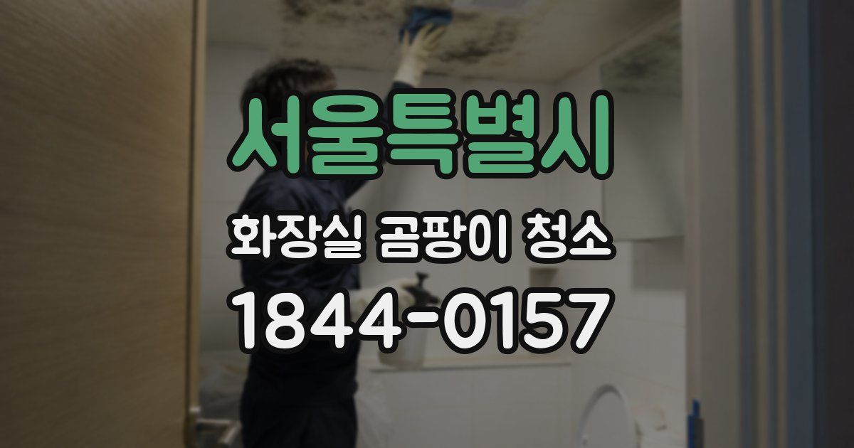 서울특별시 화장실 곰팡이 청소