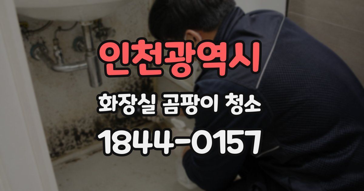 인천광역시 화장실 곰팡이 청소
