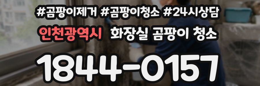 인천광역시 화장실 곰팡이 청소