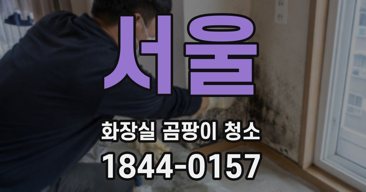 서울 화장실 곰팡이 청소