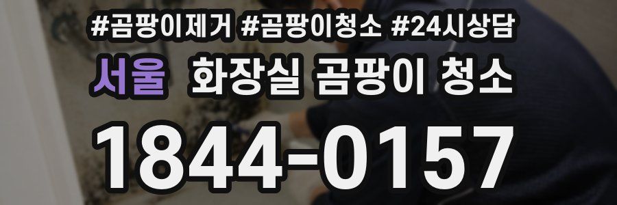 서울 화장실 곰팡이 청소