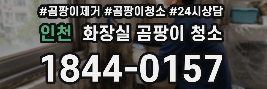 인천 화장실 곰팡이 청소