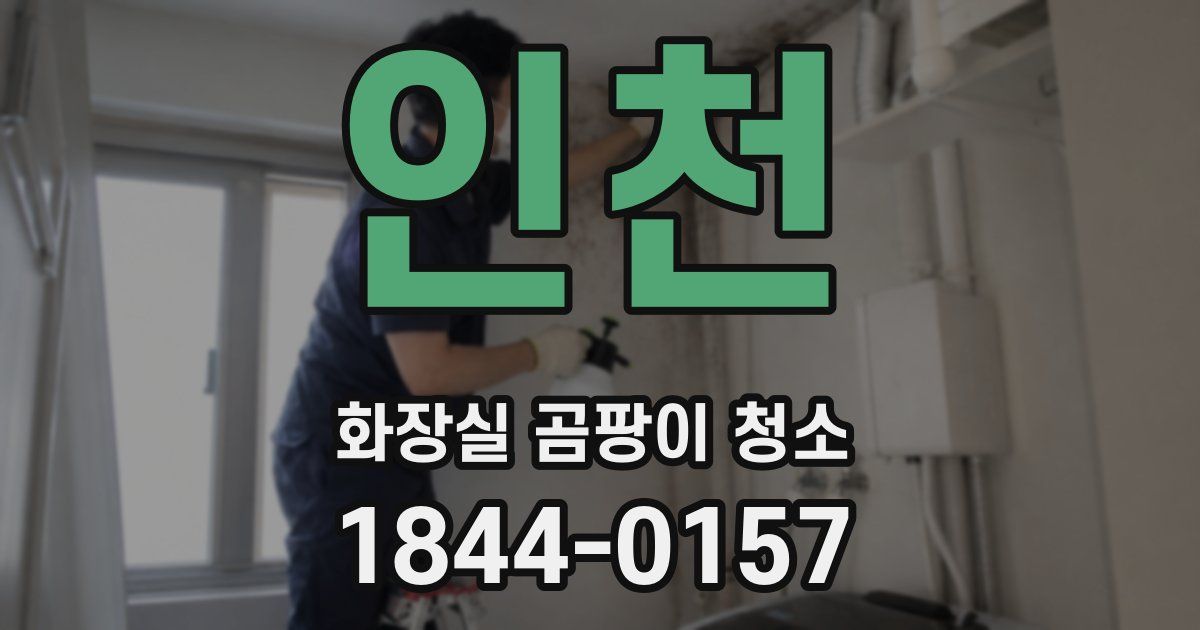 인천 화장실 곰팡이 청소