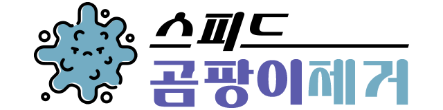 스피드 곰팡이 제거