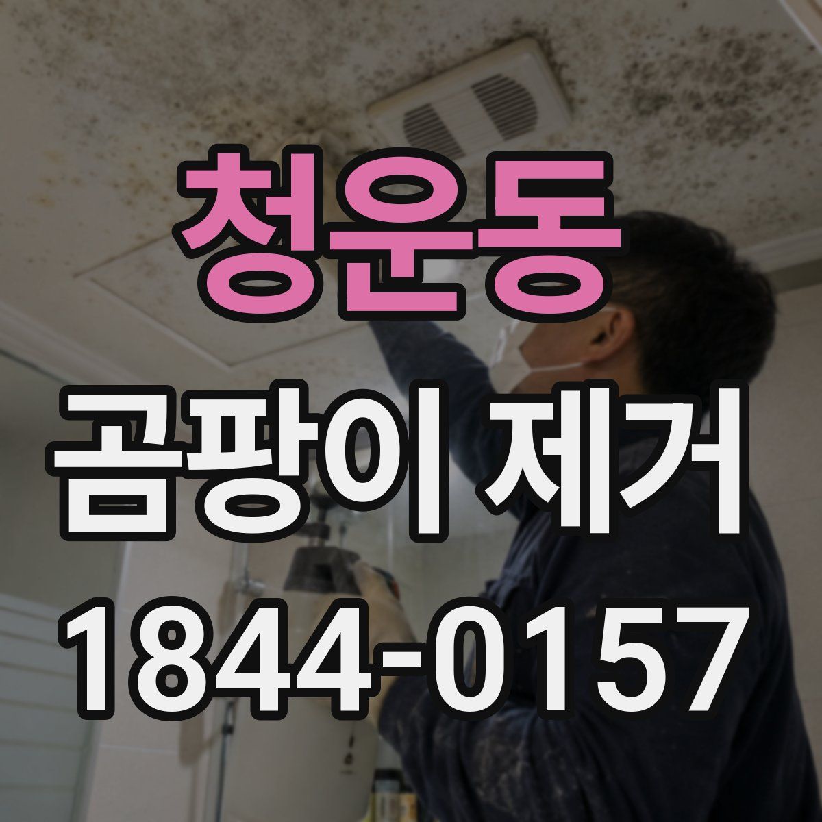 청운동 곰팡이 제거