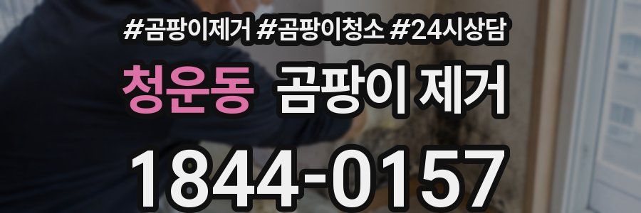청운동 곰팡이 제거