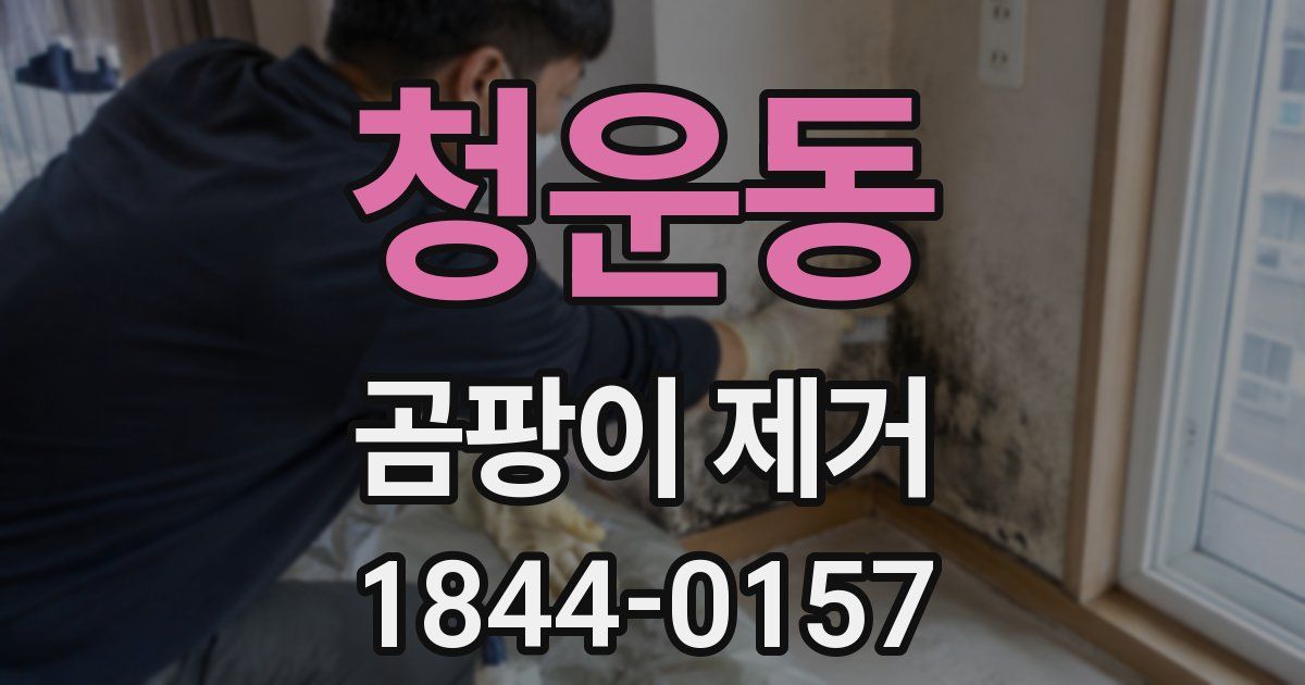 청운동 곰팡이 제거