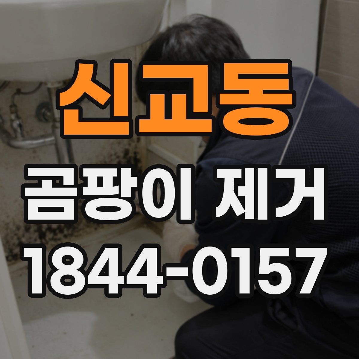 신교동 곰팡이 제거