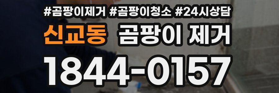 신교동 곰팡이 제거