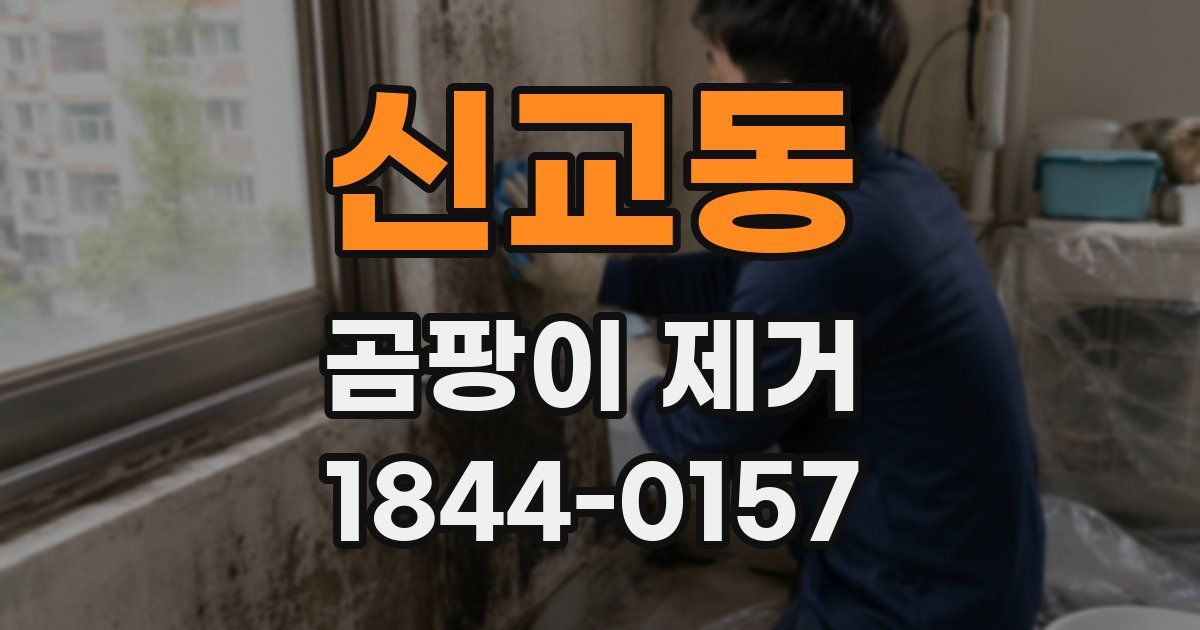 신교동 곰팡이 제거