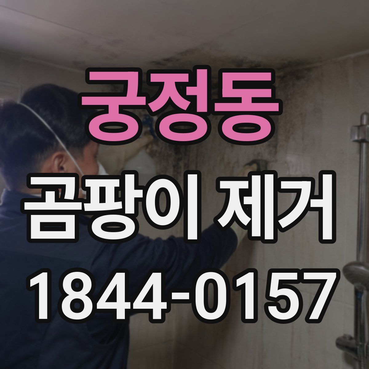 궁정동 곰팡이 제거