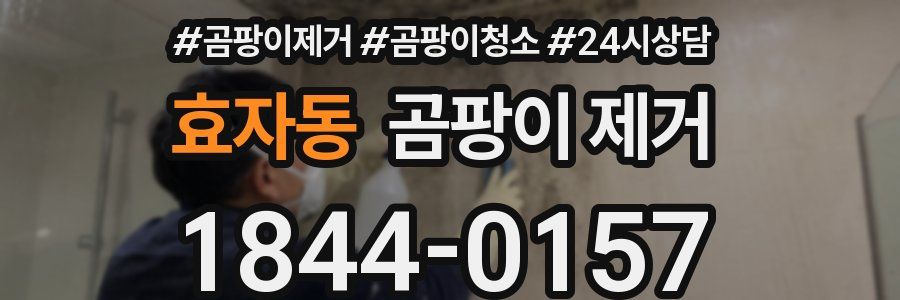 효자동 곰팡이 제거