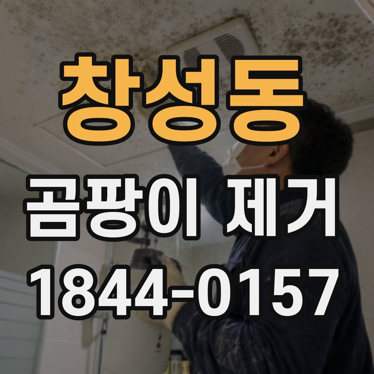 창성동 곰팡이 제거