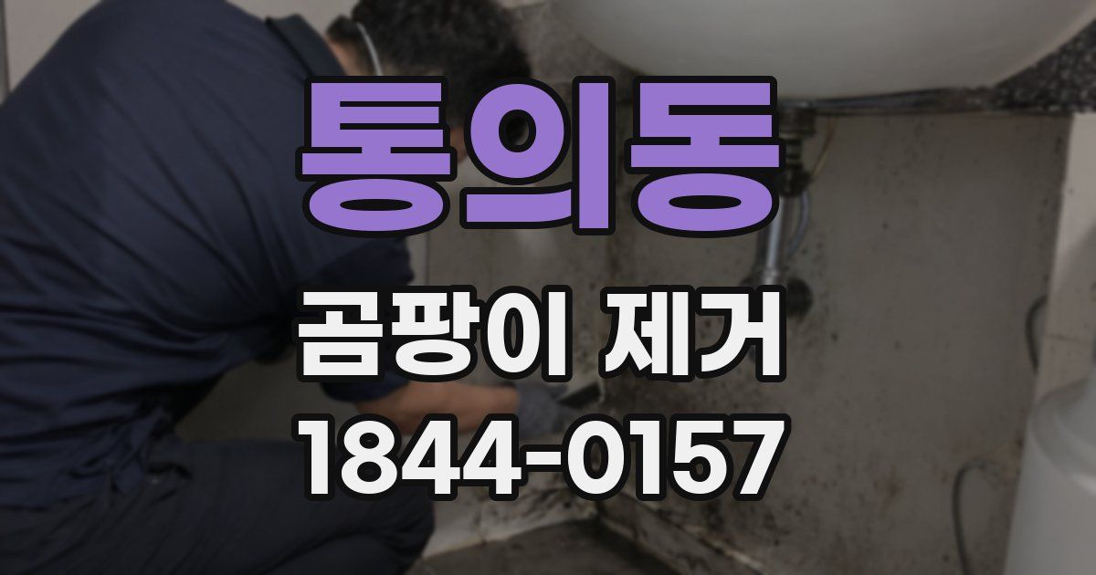 통의동 곰팡이 제거