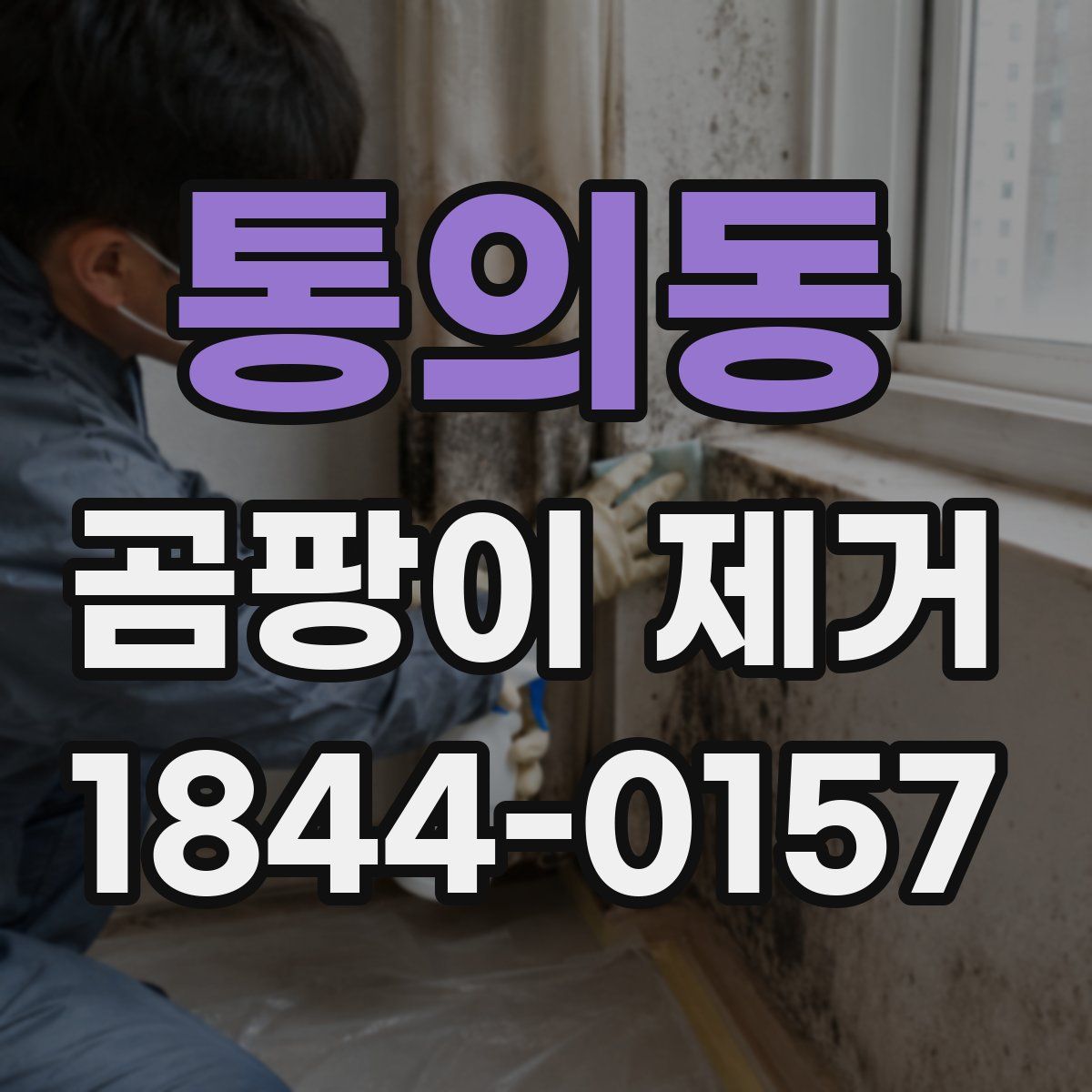 통의동 곰팡이 제거