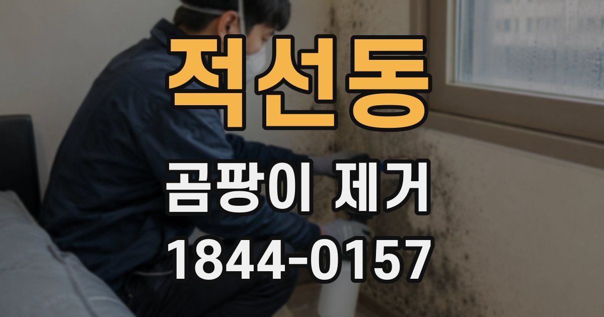 적선동 곰팡이 제거