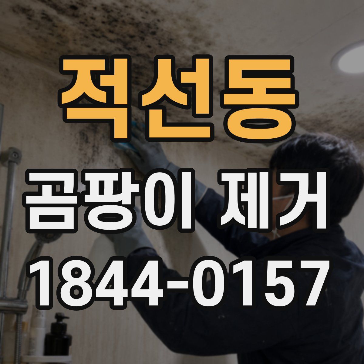 적선동 곰팡이 제거