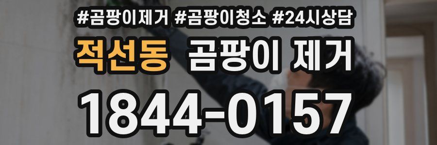 적선동 곰팡이 제거