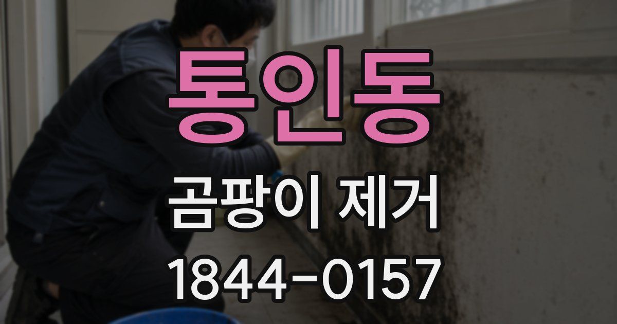 통인동 곰팡이 제거
