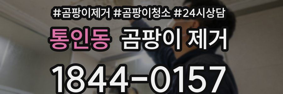 통인동 곰팡이 제거