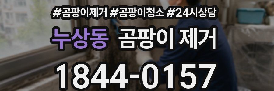 누상동 곰팡이 제거