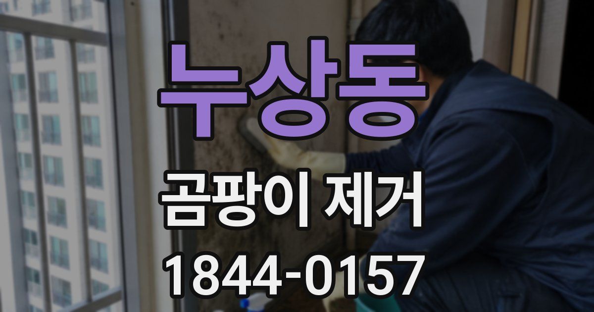 누상동 곰팡이 제거