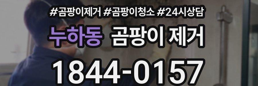 누하동 곰팡이 제거