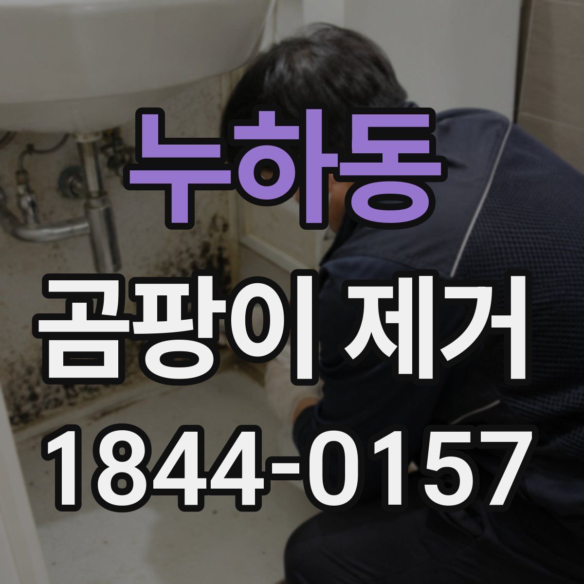 누하동 곰팡이 제거