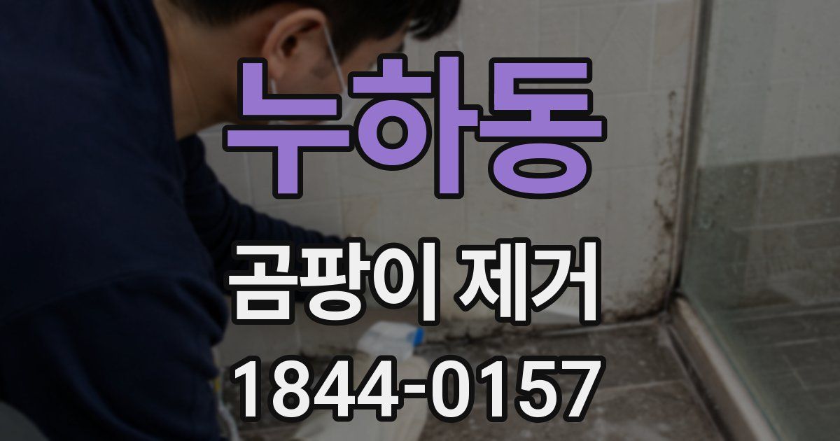 누하동 곰팡이 제거