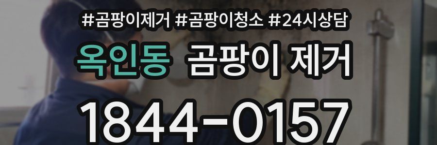 옥인동 곰팡이 제거