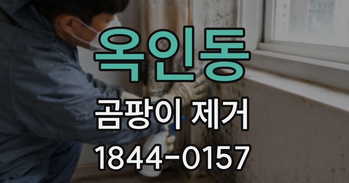 옥인동 곰팡이 제거